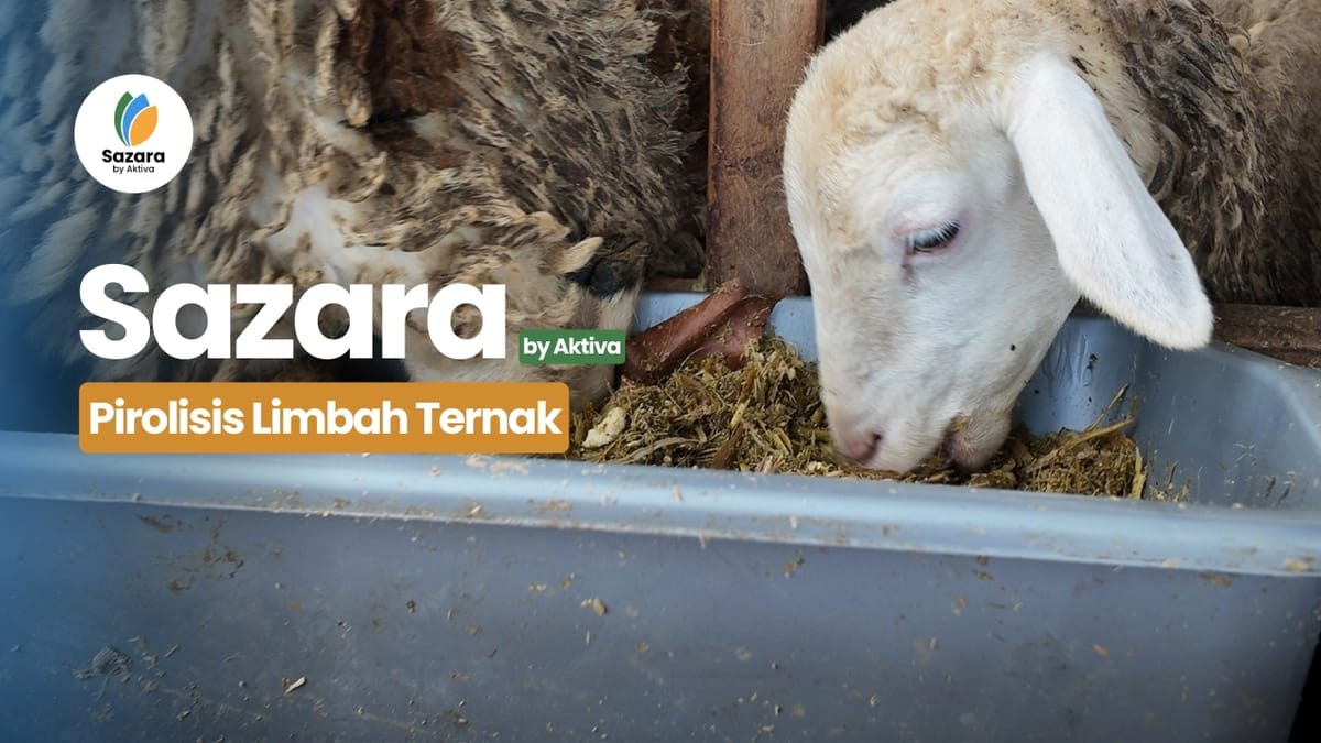 Mengenal Pirolisis Limbah Ternak dan Manfaatnya bagi Lingkungan